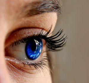 eye